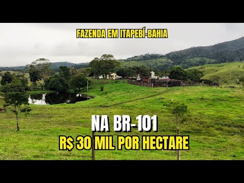 Fazenda na BR 101 com Estrutura Completa e Água em Abundância – 400 Hectares em Itapebi BAHIA