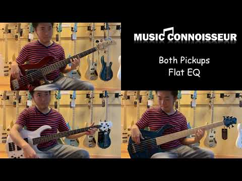 Comparing Sire V3 & M2 Marcus Miller Bass Guitars