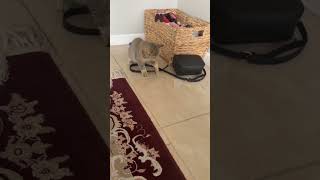 Download lagu https://youtu.be/uXvYBulUbV8?si=8T8UR3cPvw1CZuQ7 mp3 Download lagu https://youtu.be/uXvYBulUbV8?si=8T8UR3cPvw1CZuQ7 mp3