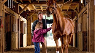 Before being euthanized, he was saved by this family, making him the most expensive horse