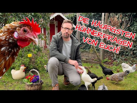 , title : 'Die häufigsten Fragen zu den Hühnern und zur Hühnerhaltung + Wunschthemen für HAPPY HUHN'