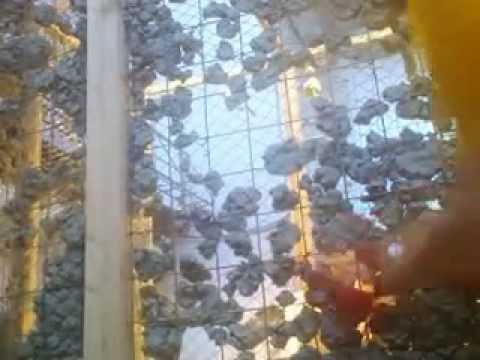 Мастерская Аникушина, "ЛАБОРАТОРИЯ СКУЛЬПТУРЫ"