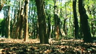 高師視設第七屆mv大賽 - Funeral Suits - All those friendly people