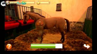 HorseWorld videosu