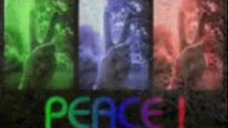 PEACEFUL SOLUTIONS ( Willie Nelson Peace Project)