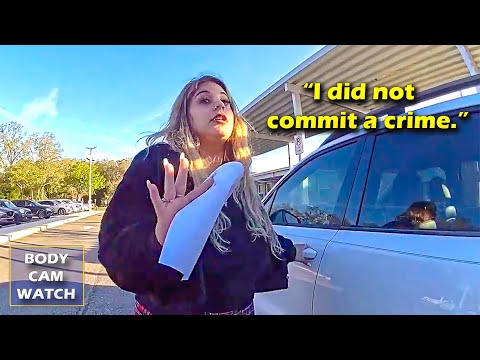 Mom Thinks Traffic Laws Don't Apply During School Drop-Off