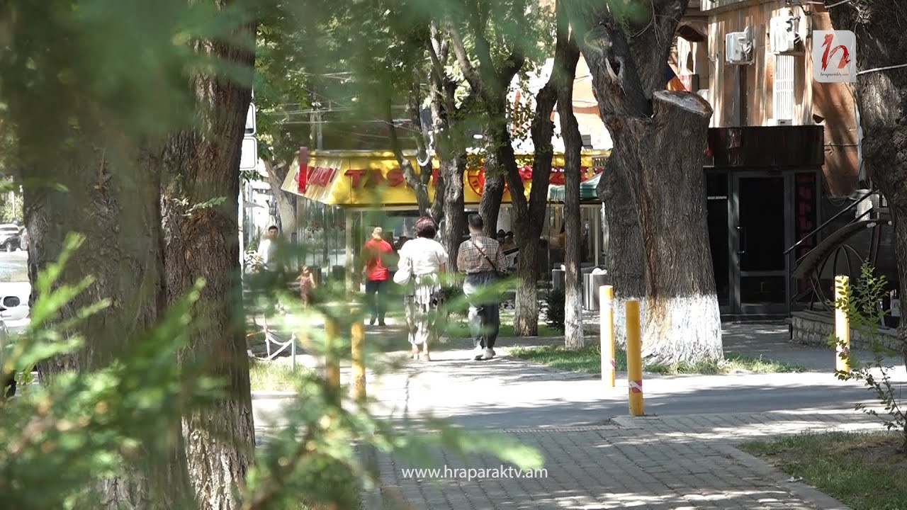 Պատվաստումների ֆոբիան նահանջում է