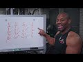 Champion Lifestyle: Part Two