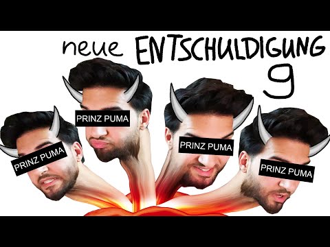 meine ENTSCHULDIGUNG an PRINZ PUMA 9