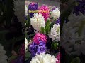 The Earth Laughs In Flowers Reelsvideoシ Tulips Spring2025