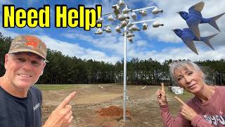 Why Are We Attracting PURPLE MARTINS To Our Homestead?