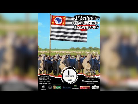 1º LEILÃO FAZ. SÃO PAULO E CONVIDADOS | SERODIO LEILÕES - REBANHO 100% Pesado - 11/06/25