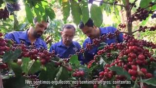 Hablemos de Café...