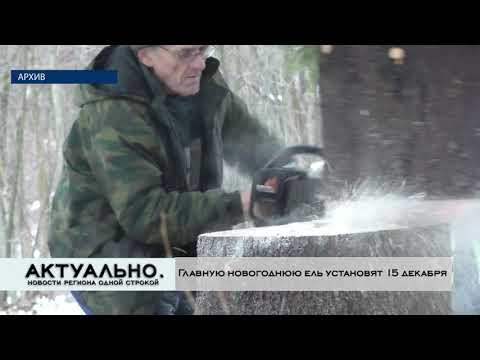 Актуально Великие Луки / 14.12.2021