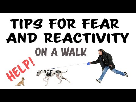 STOP UNWANTED behaviors with BACK UP