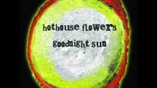 Hothouse Flowers - Amhrán na Trá Báine