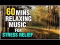60 Minutes Relaxing Music For Stress Relief and Anxiety, Music for Meditation, Studying and Sleep