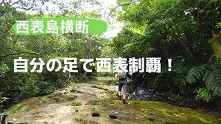 南風見ぱぴよん