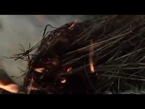 MarkMoon ft. Shamoozey - Picatrix (original mix) video by Vj Terekhova