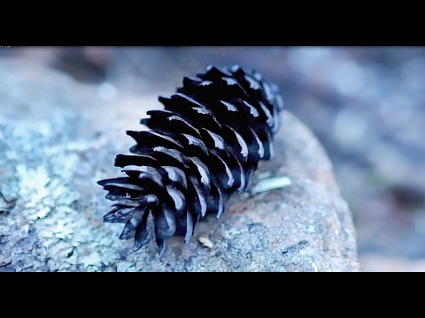 Turning different materials into char (survival)