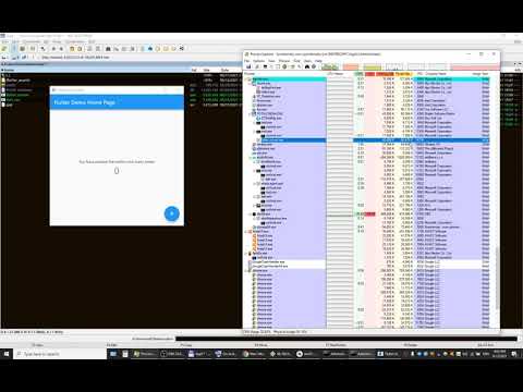 DartFlutter runner