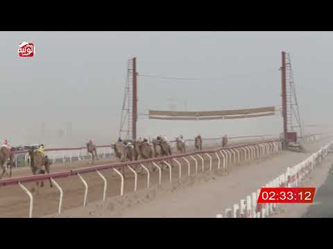 ش 3 (ريادة) لـ عبدالله مطر حمد بن عميره الشامسي 4:40 ، مهرجان العين 2026/08/02 حقايق الساد