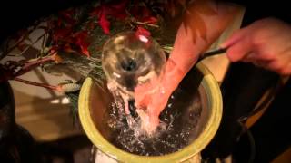 pond boss Low Water Shut-off Pump