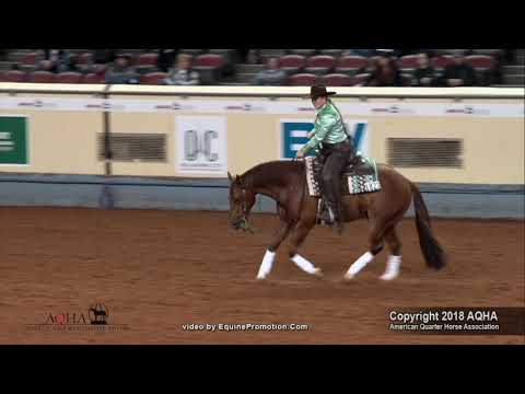 2018 AQHA Amateur Reining