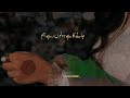Kya Kuch Gawaya Maine Tere Bin Ost Wahaj Ali New Drama New Pakistani Ost