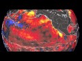 Record Warm Pacific Ocean