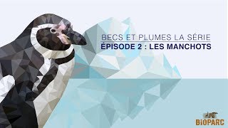 Nouvel épisode de Becs et Plumes