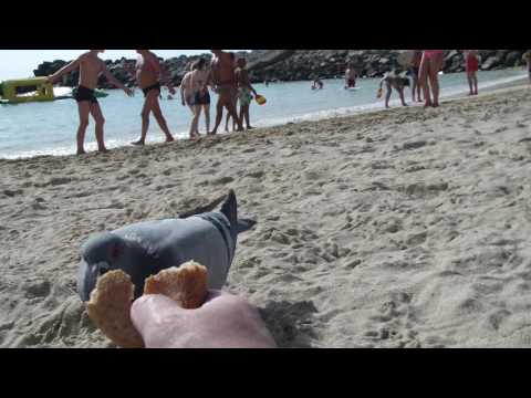 Amadores Beach Gran Canaria - feeding pigeons from hand