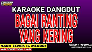 Download lagu BAGAI RANTING YANG KERING KARAOKE DANGDUT - IIS DAHLIA mp3