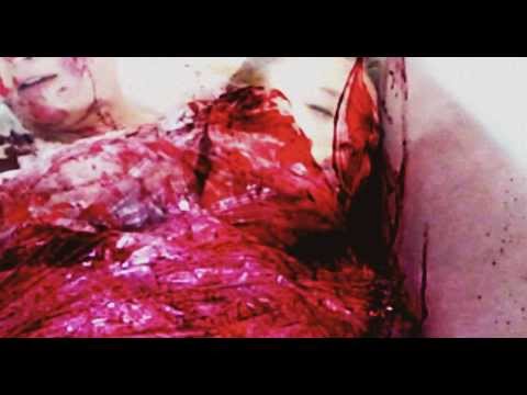 fii - Mein letzter Tanz (Official Music Visual)