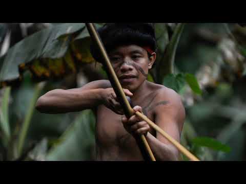 Insula Santinelei de Nord, Taramul Celui mai Izolat Trib din Lume