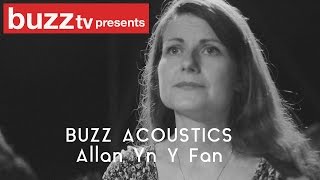 Buzz Acoustics- Allan Yn Y Fan