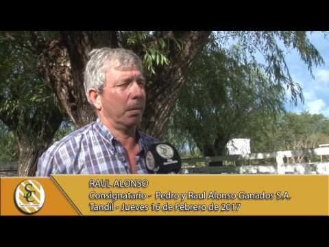 16-02-17 Nota Raul Alonso - Pedro y Raul Alonso Ganados S.A. - Tandil.