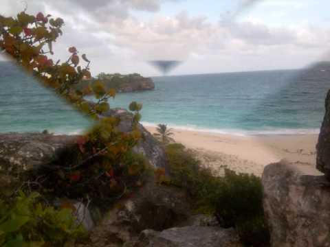 THE MERRYMEN OF BARBADOS - Steel Donkey