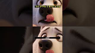 “우리 강아지는 안 물어요”의 진실