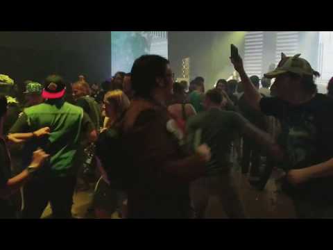 Cyril the Wolf   mosh pit