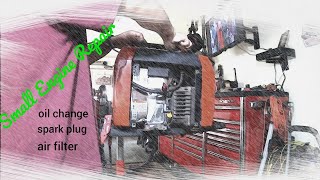 Small Engine Tune-Up|Coleman Powermate 1850 Portable Generator