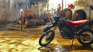 Download lagu Dj Kesucian Ati & Dj Tiara By R2 Project mp3 Download lagu Dj Kesucian Ati & Dj Tiara By R2 Project mp3