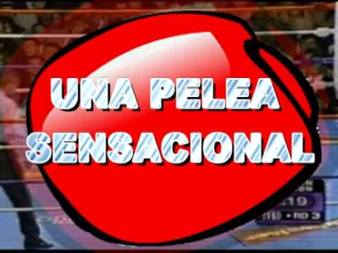 BOX KNOUT 24 DE AGOSTO