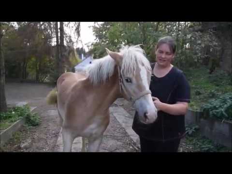 Hafifohlenrettung 16.10.18