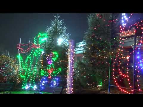 Turtle Back Zoo Holiday Lights