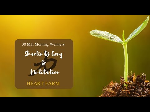 30 minutes Morning Wellness - Shaolin Qi Gong and Meditation - Heart Farm
