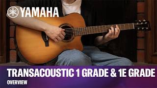 TransAcoustic 1 Grade and 1E Grade Guitars | Overview