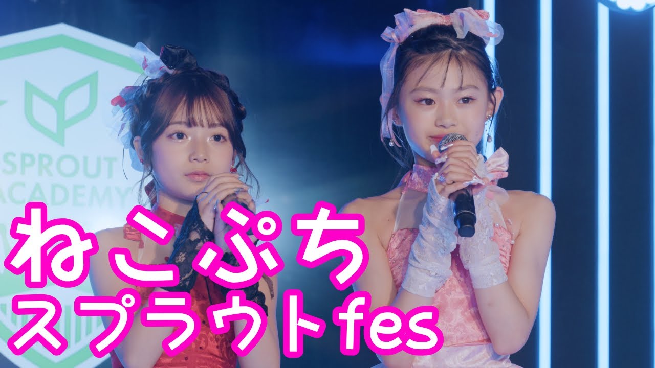 2025.6.8 - ねこぷち「わちゃわちゃ（ねがいごと。）」【スプラウトfes】 