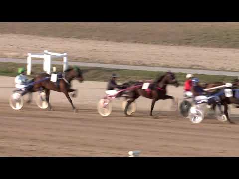 2020.03.14. 06. futam - 2020. ÉVI KINCSEM PARK KUPA II. FUTAMA HENDIKEP