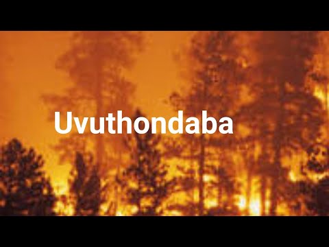 Uvuthondaba